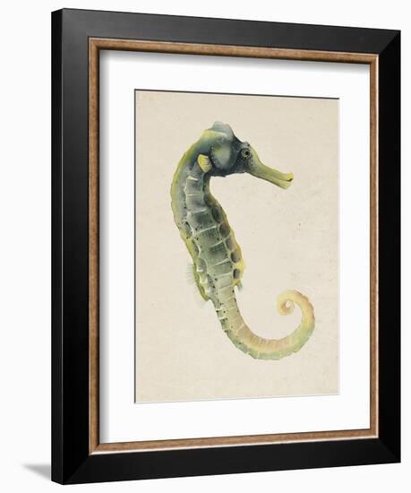 Sea Dweller VI-Grace Popp-Framed Art Print