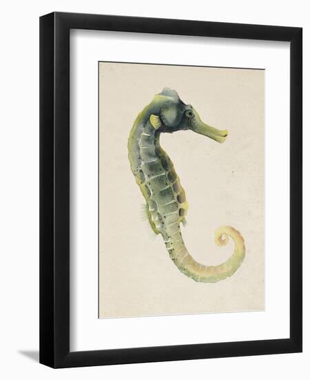 Sea Dweller VI-Grace Popp-Framed Art Print