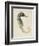 Sea Dweller VI-Grace Popp-Framed Art Print