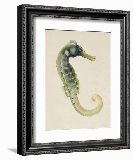 Sea Dweller VI-Grace Popp-Framed Art Print