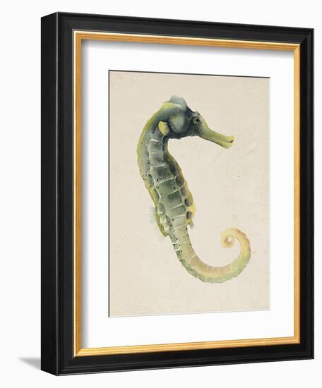 Sea Dweller VI-Grace Popp-Framed Art Print