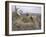 Sea Eagle's Nest, 1907-Bruno Andreas Liljefors-Framed Giclee Print