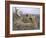 Sea Eagle's Nest, 1907-Bruno Andreas Liljefors-Framed Giclee Print