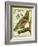 Sea Eagle-Georges-Louis Buffon-Framed Giclee Print