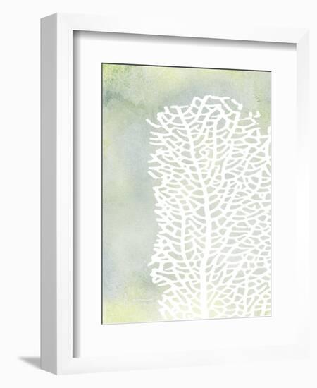 Sea Fan 1-Albert Koetsier-Framed Art Print