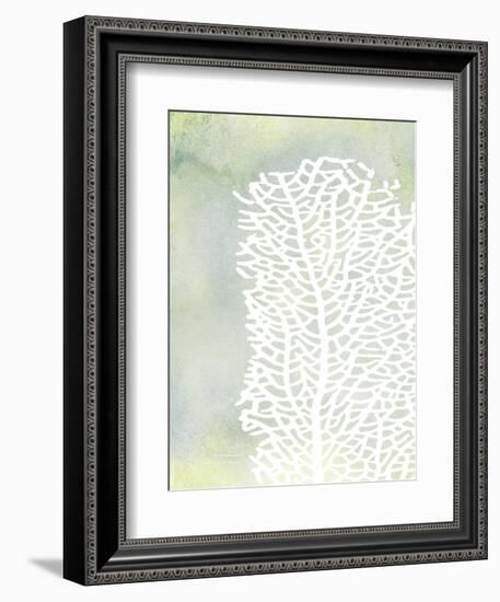 Sea Fan 1-Albert Koetsier-Framed Art Print