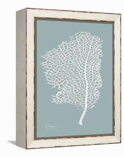 Sea Fan 2-Albert Koetsier-Framed Stretched Canvas