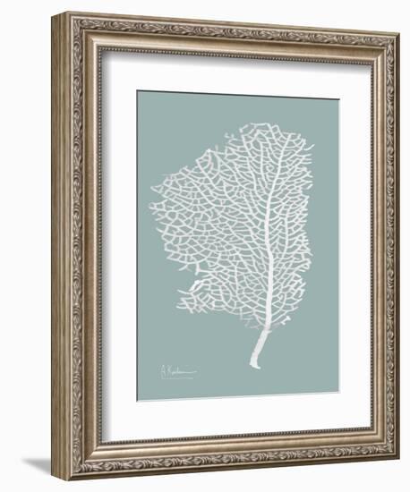 Sea Fan 2-Albert Koetsier-Framed Art Print