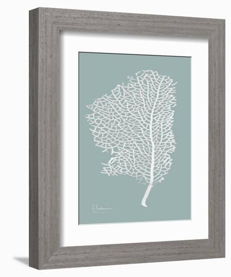 Sea Fan 2-Albert Koetsier-Framed Art Print