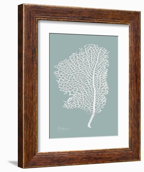 Sea Fan 2-Albert Koetsier-Framed Art Print