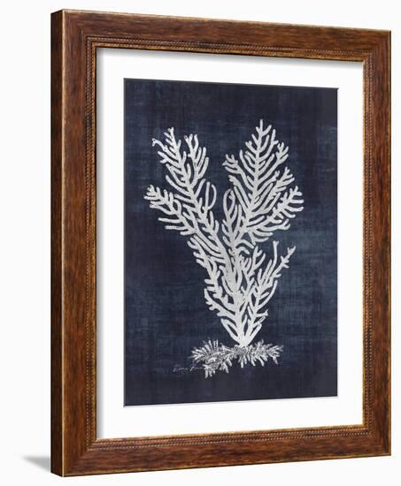 Sea Fan 2-Denise Brown-Framed Art Print