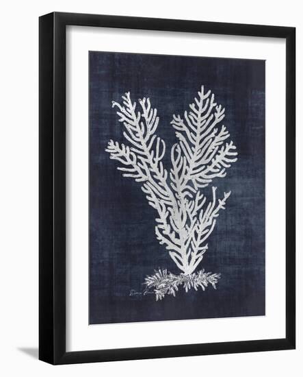 Sea Fan 2-Denise Brown-Framed Art Print