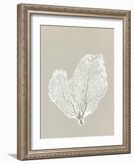 Sea Fan 4-Mary Margaret Briggs-Framed Giclee Print