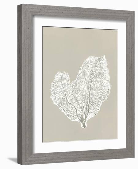 Sea Fan 4-Mary Margaret Briggs-Framed Giclee Print