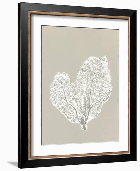 Sea Fan 4-Mary Margaret Briggs-Framed Giclee Print