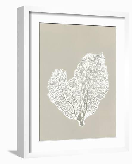 Sea Fan 4-Mary Margaret Briggs-Framed Giclee Print