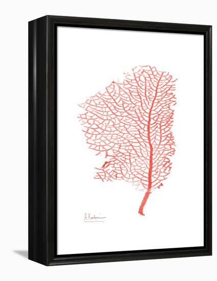 Sea Fan 5-Albert Koetsier-Framed Stretched Canvas