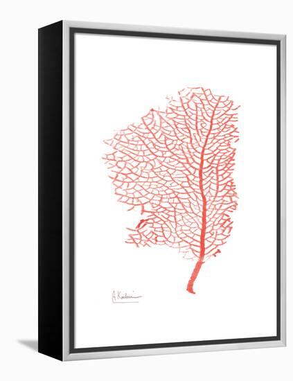 Sea Fan 5-Albert Koetsier-Framed Stretched Canvas