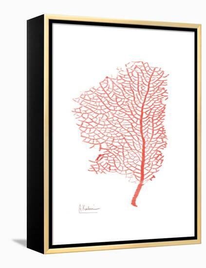 Sea Fan 5-Albert Koetsier-Framed Stretched Canvas