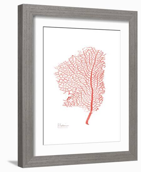 Sea Fan 5-Albert Koetsier-Framed Premium Giclee Print