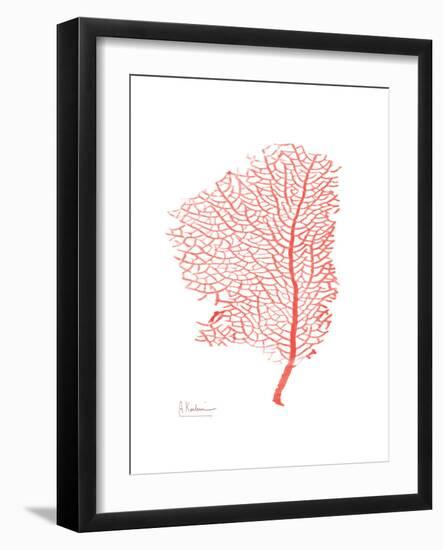 Sea Fan 5-Albert Koetsier-Framed Premium Giclee Print