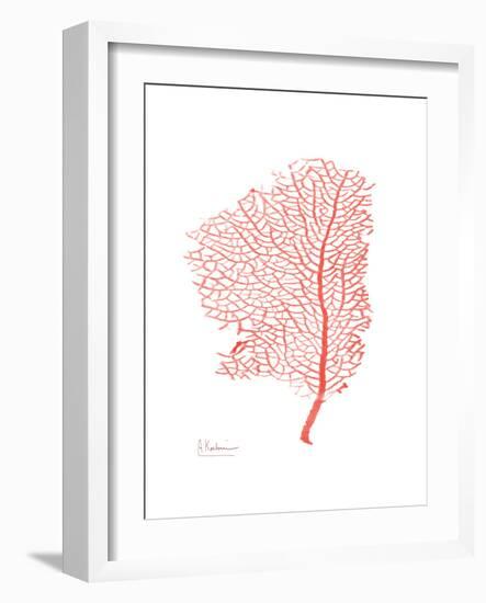 Sea Fan 5-Albert Koetsier-Framed Premium Giclee Print