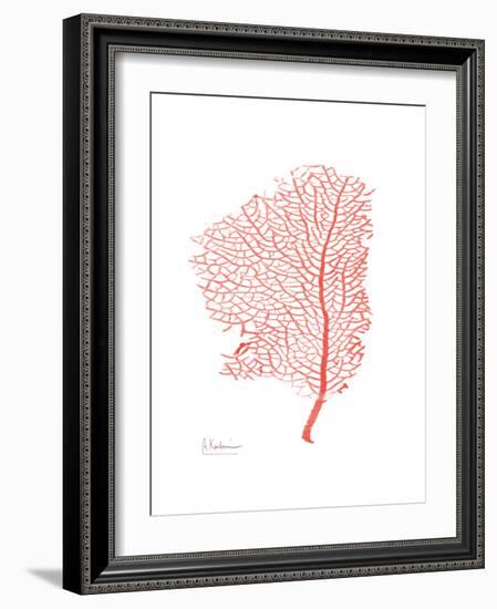 Sea Fan 5-Albert Koetsier-Framed Premium Giclee Print