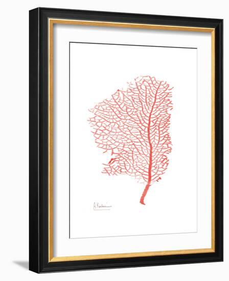 Sea Fan 5-Albert Koetsier-Framed Premium Giclee Print