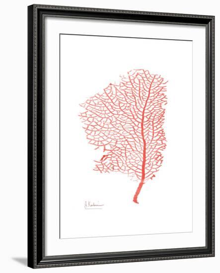 Sea Fan 5-Albert Koetsier-Framed Premium Giclee Print