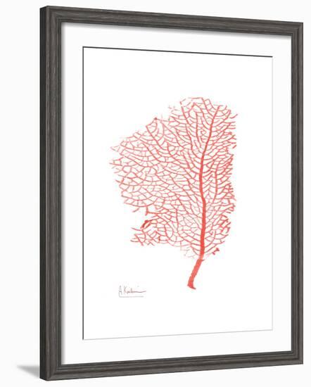 Sea Fan 5-Albert Koetsier-Framed Premium Giclee Print