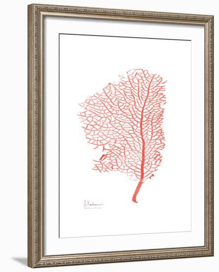 Sea Fan 5-Albert Koetsier-Framed Premium Giclee Print