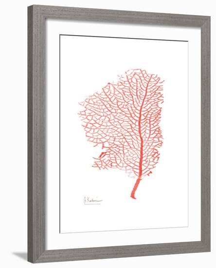 Sea Fan 5-Albert Koetsier-Framed Premium Giclee Print