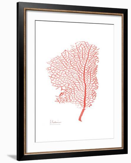 Sea Fan 5-Albert Koetsier-Framed Premium Giclee Print