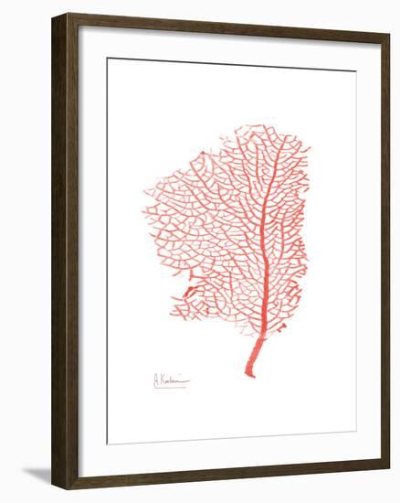 Sea Fan 5-Albert Koetsier-Framed Premium Giclee Print