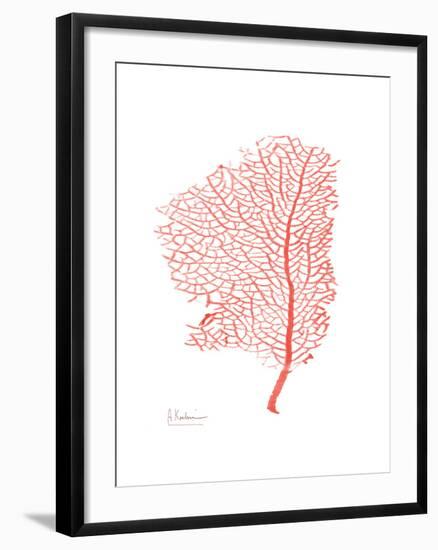 Sea Fan 5-Albert Koetsier-Framed Premium Giclee Print