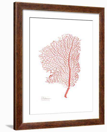 Sea Fan 5-Albert Koetsier-Framed Premium Giclee Print