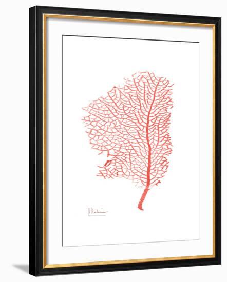 Sea Fan 5-Albert Koetsier-Framed Premium Giclee Print