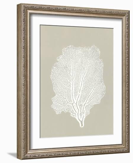 Sea Fan 5-Mary Margaret Briggs-Framed Giclee Print