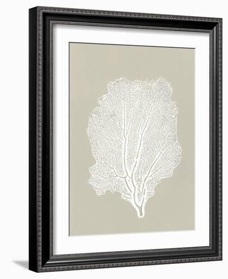 Sea Fan 5-Mary Margaret Briggs-Framed Giclee Print