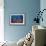 Sea Fan And Crinoid-Matthew Oldfield-Framed Photographic Print displayed on a wall