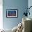 Sea Fan And Crinoid-Matthew Oldfield-Framed Photographic Print displayed on a wall