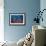 Sea Fan And Crinoid-Matthew Oldfield-Framed Photographic Print displayed on a wall
