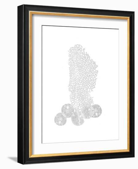 Sea Fan and Sand Dollar F164-Albert Koetsier-Framed Premium Giclee Print