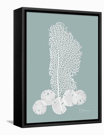 Sea Fan and Sand Dollar Teal-Albert Koetsier-Framed Stretched Canvas