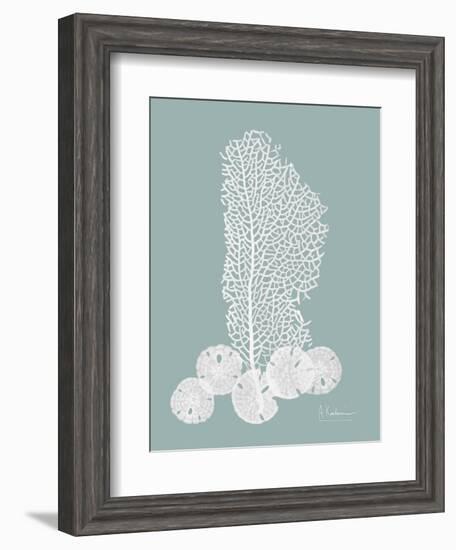 Sea Fan and Sand Dollar Teal-Albert Koetsier-Framed Art Print