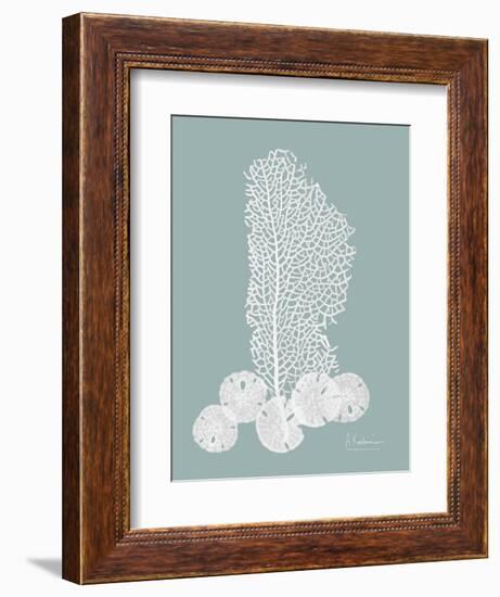 Sea Fan and Sand Dollar Teal-Albert Koetsier-Framed Art Print