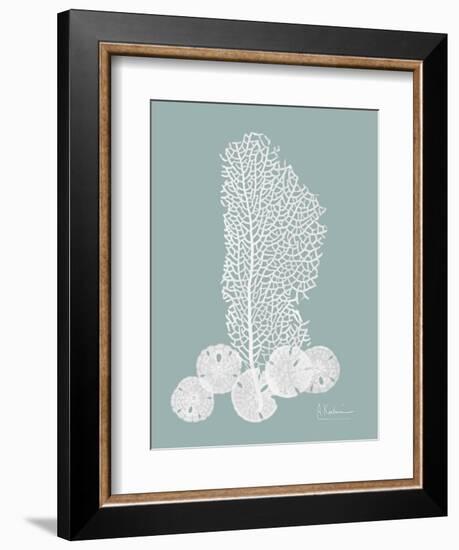 Sea Fan and Sand Dollar Teal-Albert Koetsier-Framed Art Print