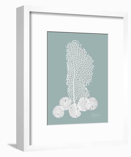 Sea Fan and Sand Dollar Teal-Albert Koetsier-Framed Premium Giclee Print