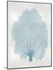 Sea Fan Aqua II-Melonie Miller-Mounted Art Print