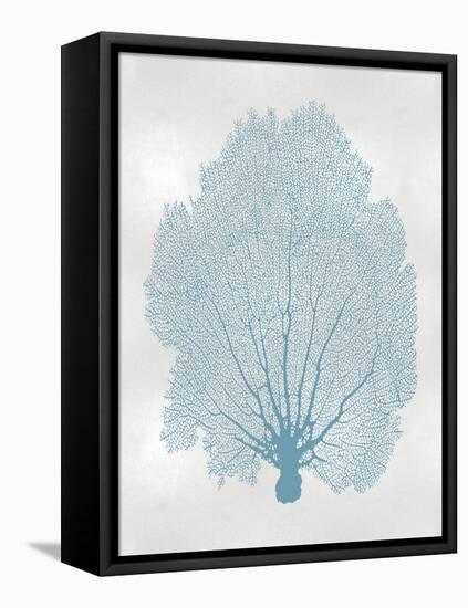 Sea Fan Aqua II-Melonie Miller-Framed Stretched Canvas